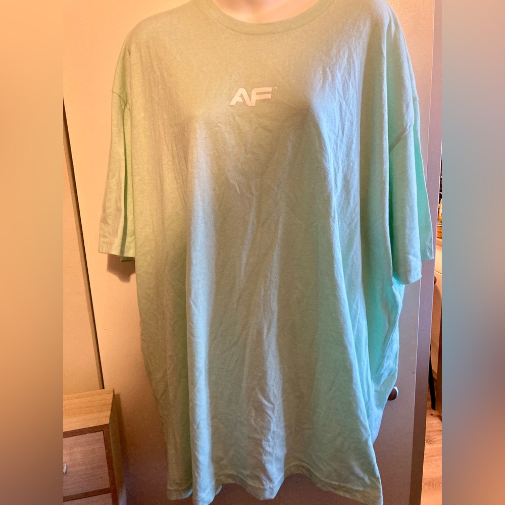Next Level Apparel Mint Green Short Sleeve Tee 3xl